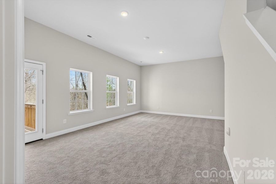 Basement Playroom