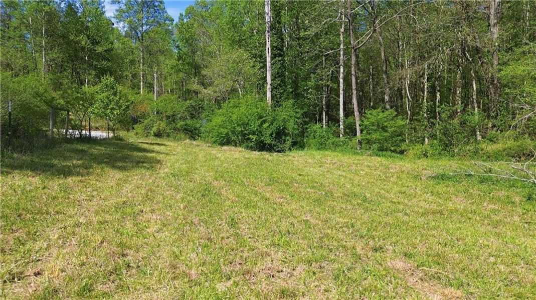 Natural landscape and outdoor views near  in Demorest (Image 57).
