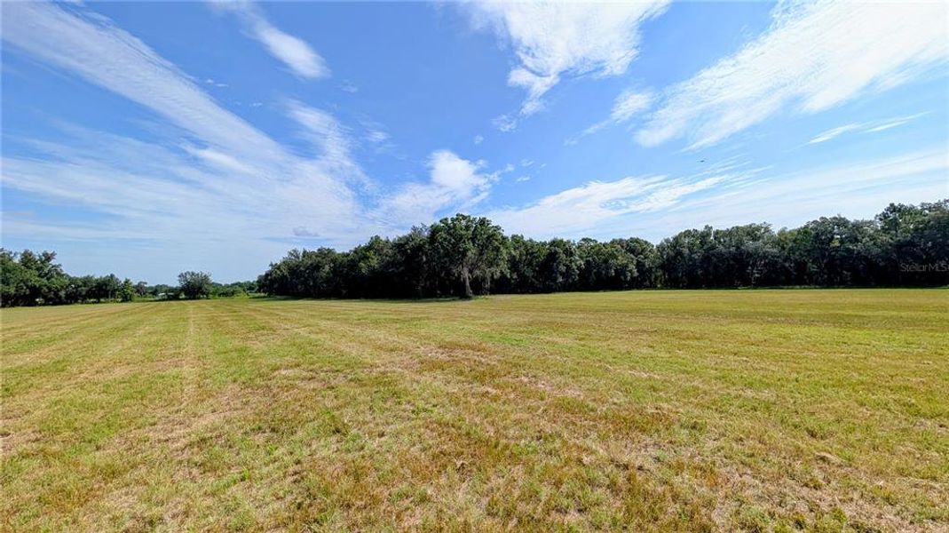 Natural landscape and outdoor views near  in Wauchula (Image 49).