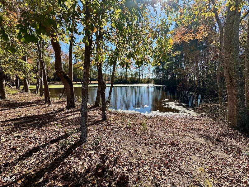 Pond at Griffon Pointe