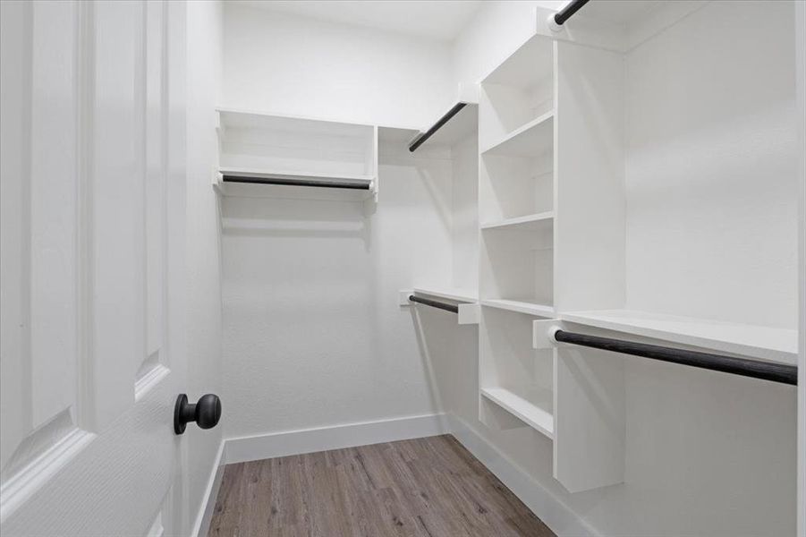 Spacious closet with hardwood / wood-style floors