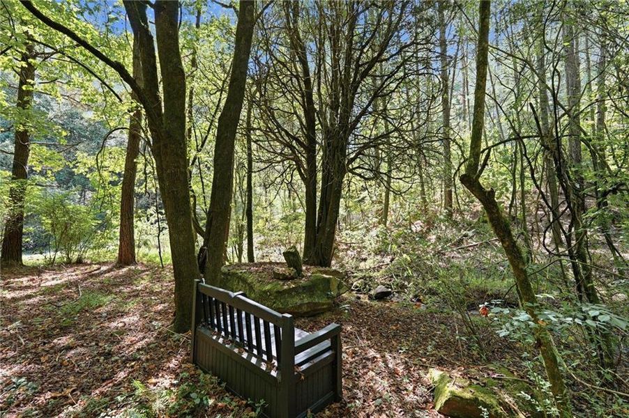 Natural landscape and outdoor views near  in Ellijay (Image 47).