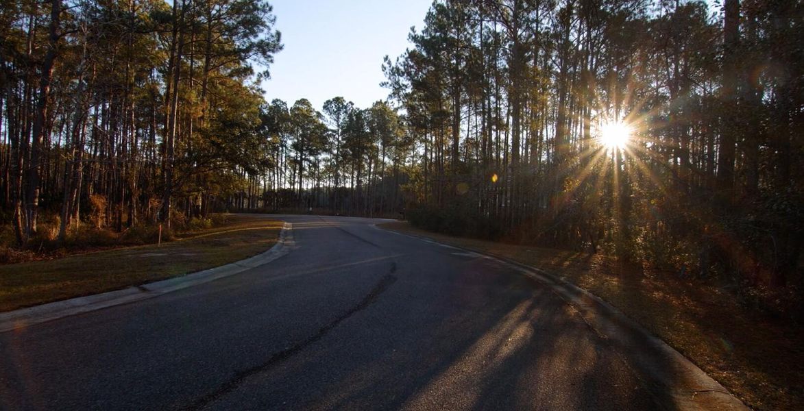 Natural landscape and outdoor views near  in Awendaw (Image 27).