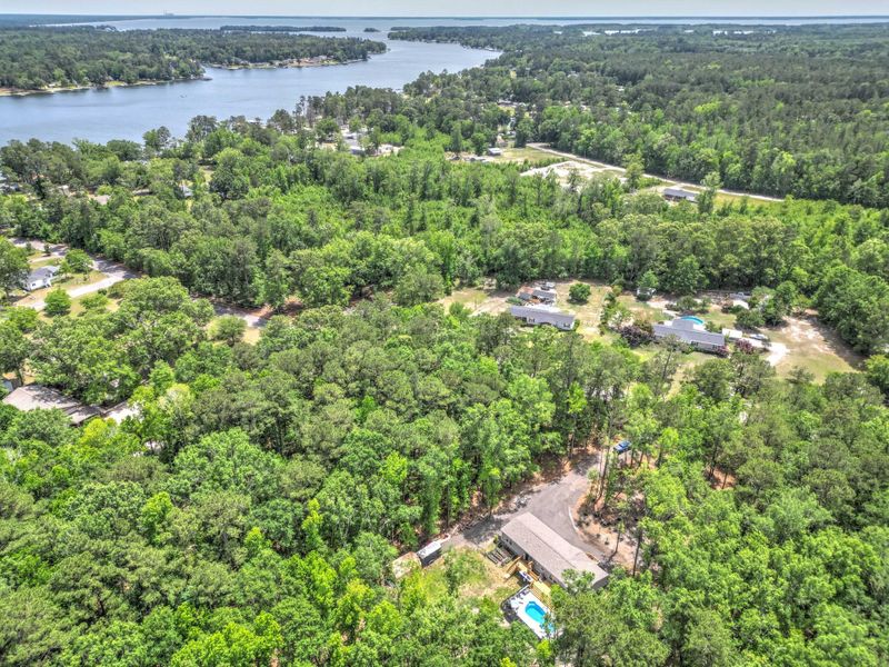 Natural landscape and outdoor views near  in Summerton (Image 48).