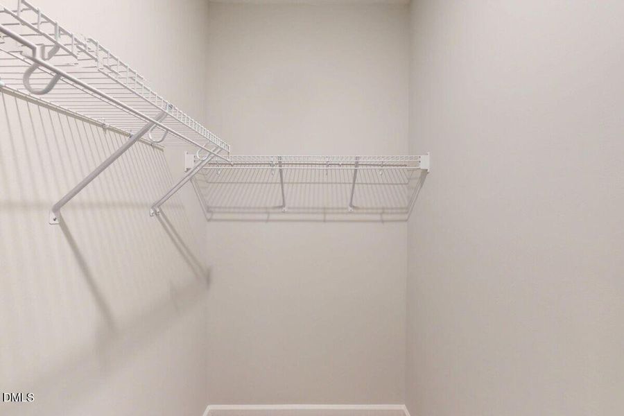 3986911_50034 3986911_50034