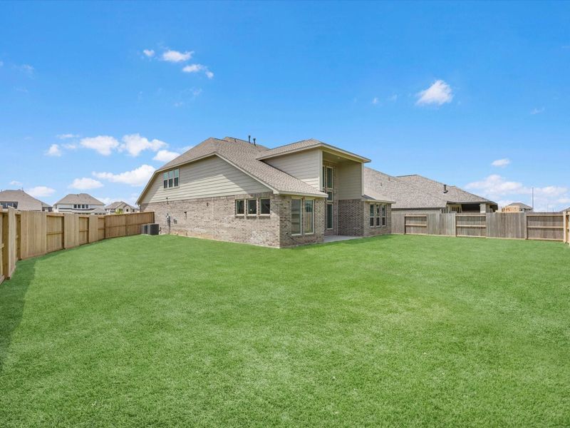 Green grass added to enhance photo. Green grass added to enhance photo.