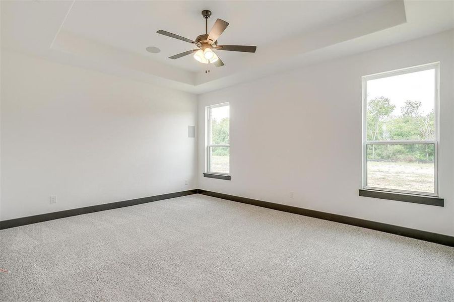 Spare room with ceiling fan, carpet, and a tray ceiling