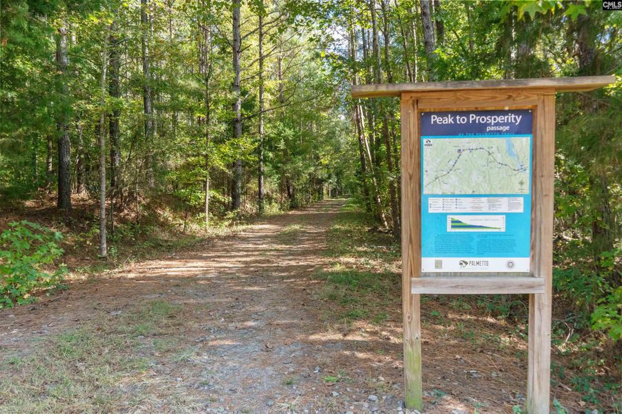 Image 49 of a home in Rolling Hills.