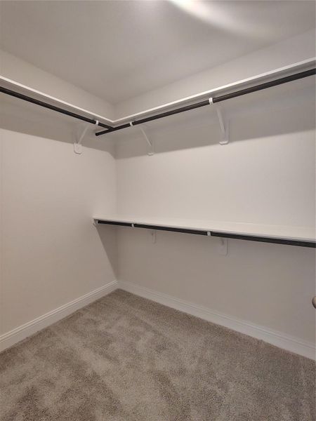 Primary Roomy Closet Primary Roomy Closet