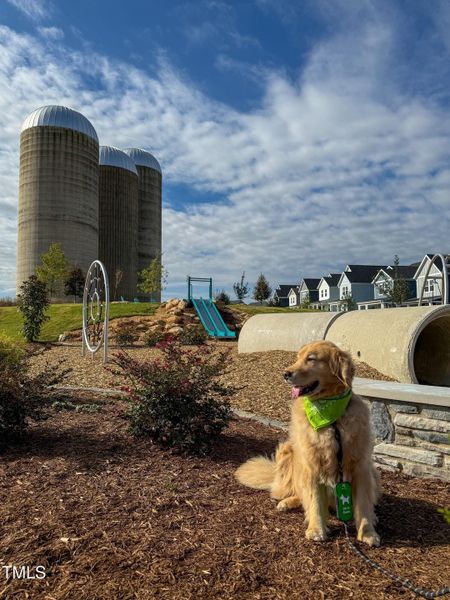 Mews Silo Park