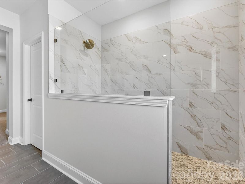 Owner's bath super shower