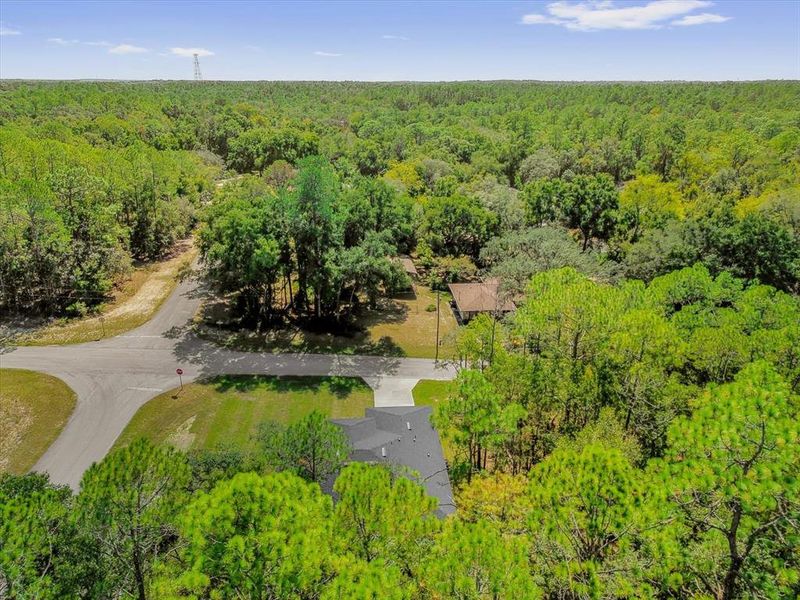 Natural landscape and outdoor views near  in Citrus Springs (Image 33).