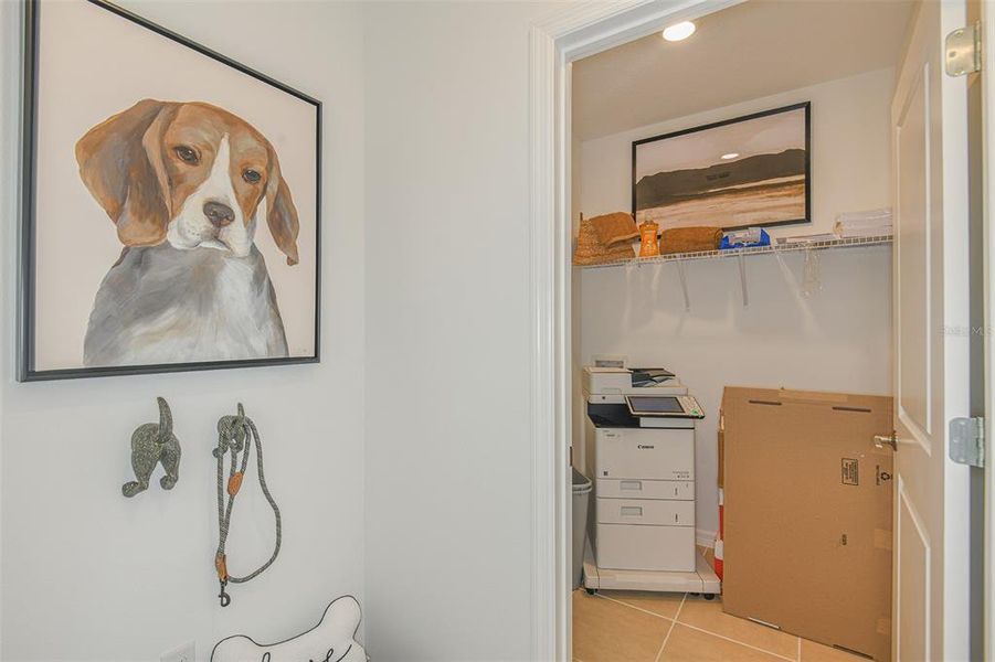 REPRESENTATIVE PHOTO