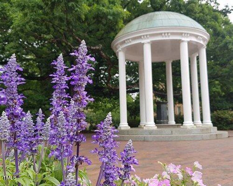 old-well-the-university