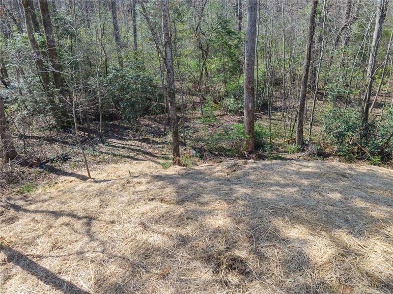 Natural landscape and outdoor views near  in Alto (Image 35).