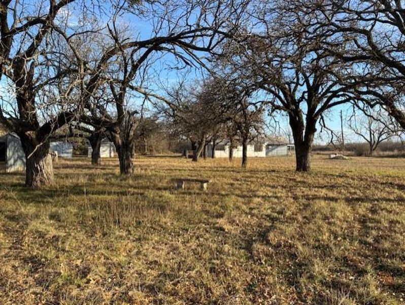 Natural landscape and outdoor views near in May (Image 24). Natural landscape and outdoor views near in May (Image 24).