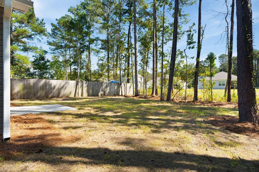 Natural landscape and outdoor views near  in North Charleston (Image 29).