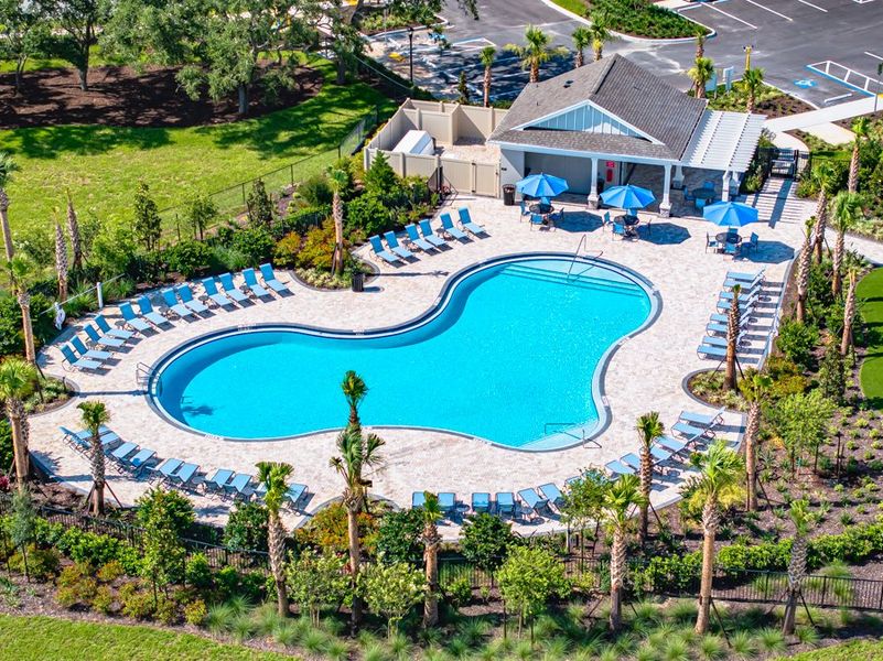Community amenities in Palm Wind, Hudson (Image 7).