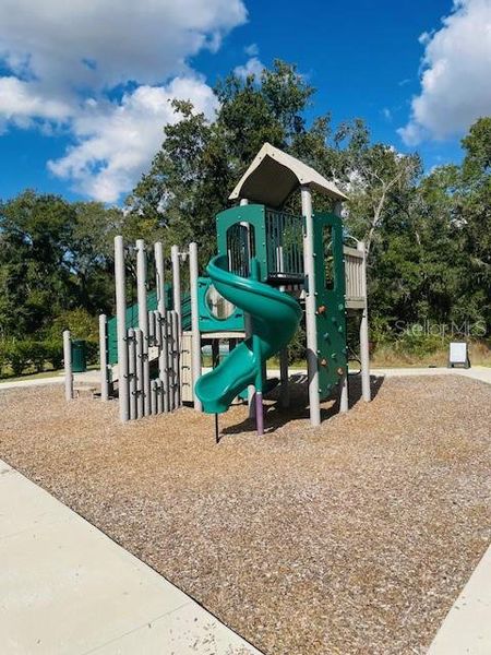 Community amenities in Rhett's Ridge: Legacy Collection, Apopka (Image 50).