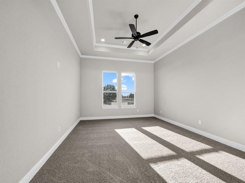 Spare room featuring ornamental molding, dark colored carpet, ceiling fan, and a raised ceiling