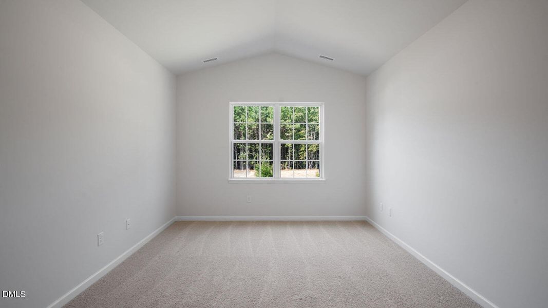 75-tobacco-woods-014