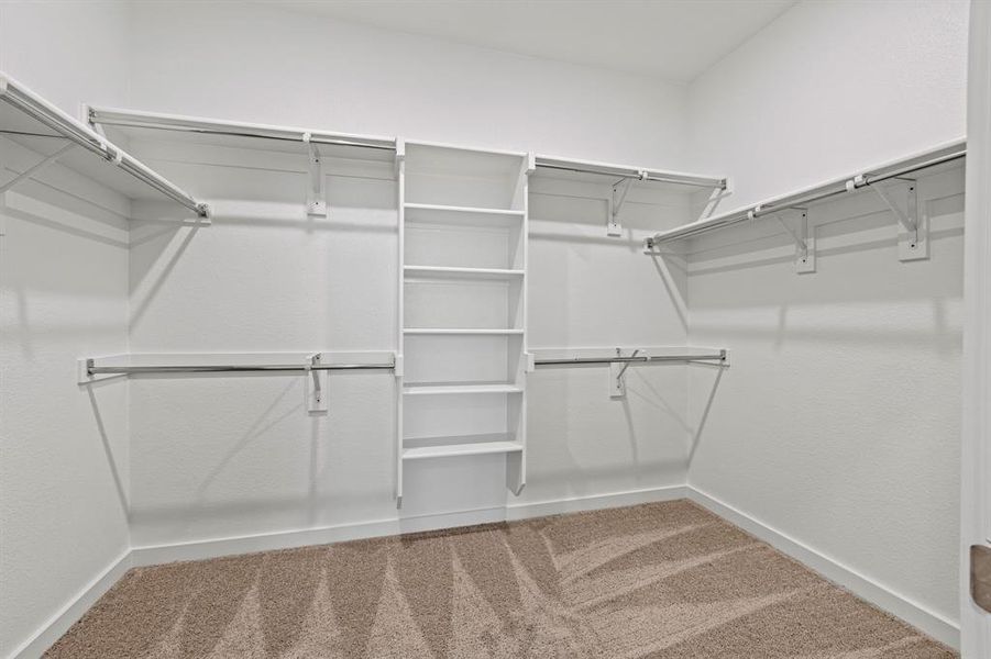 Walk in closet with carpet flooring