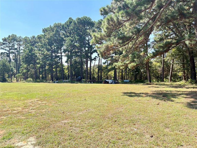 Natural landscape and outdoor views near  in Canton (Image 16).