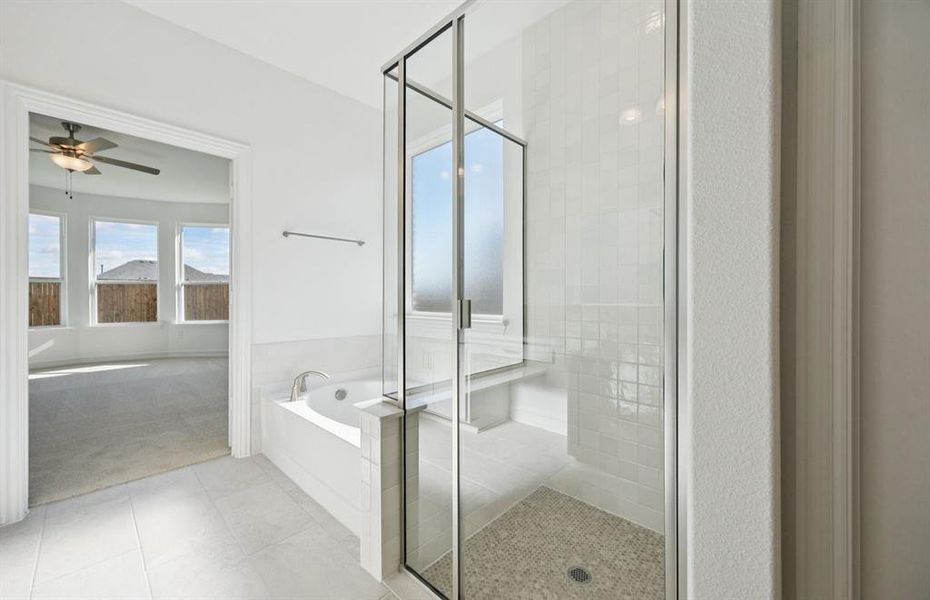 Large shower in owner's bath