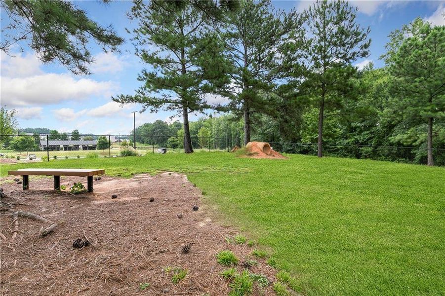 Natural landscape and outdoor views near  in Hoschton (Image 43).