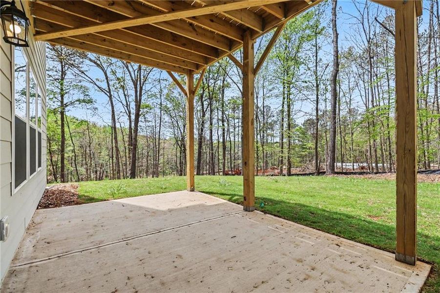 Exterior details and patio area of a home in The Fields of Walnut Creek, Pendergrass (Image 4).