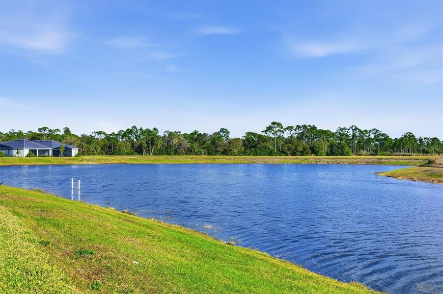 Natural landscape and outdoor views near Heritage Landing in Punta Gorda (Image 70).