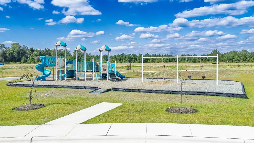 Community amenities in Vineyard Trail, Jacksonville (Image 25).
