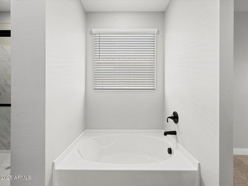 Primary Bathroom Primary Bathroom