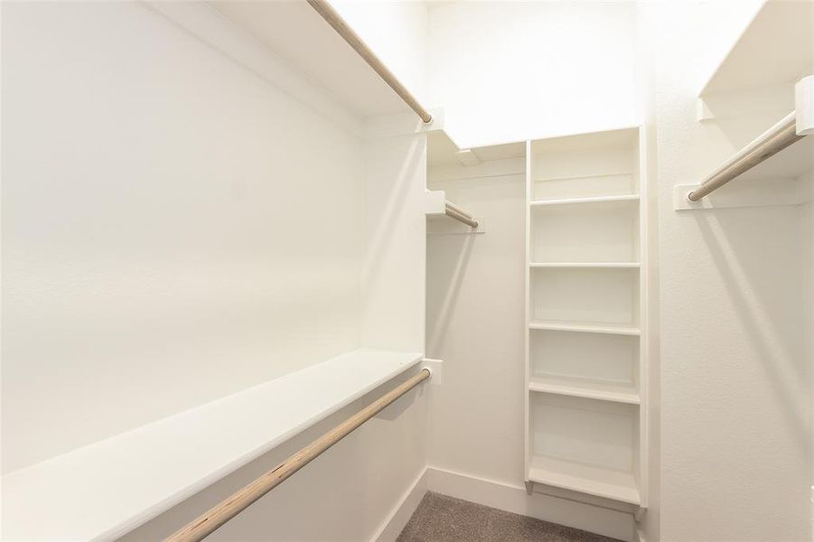 Spacious closet featuring dark carpet