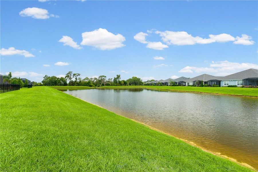 Natural landscape and outdoor views near Wildleaf at North River Ranch in Parrish (Image 54). Natural landscape and outdoor views near Wildleaf at North River Ranch in Parrish (Image 54).