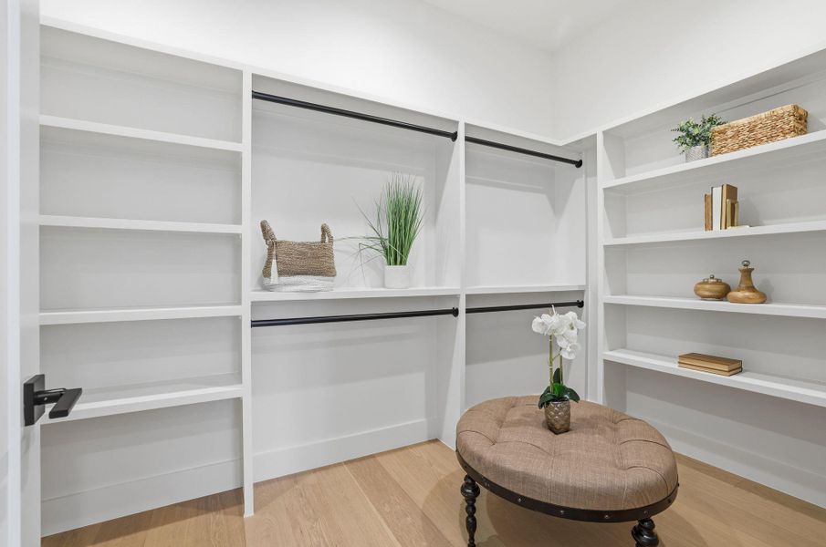 Walk in closet with light wood-style flooring