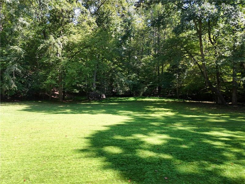 Natural landscape and outdoor views near  in Atlanta (Image 94).