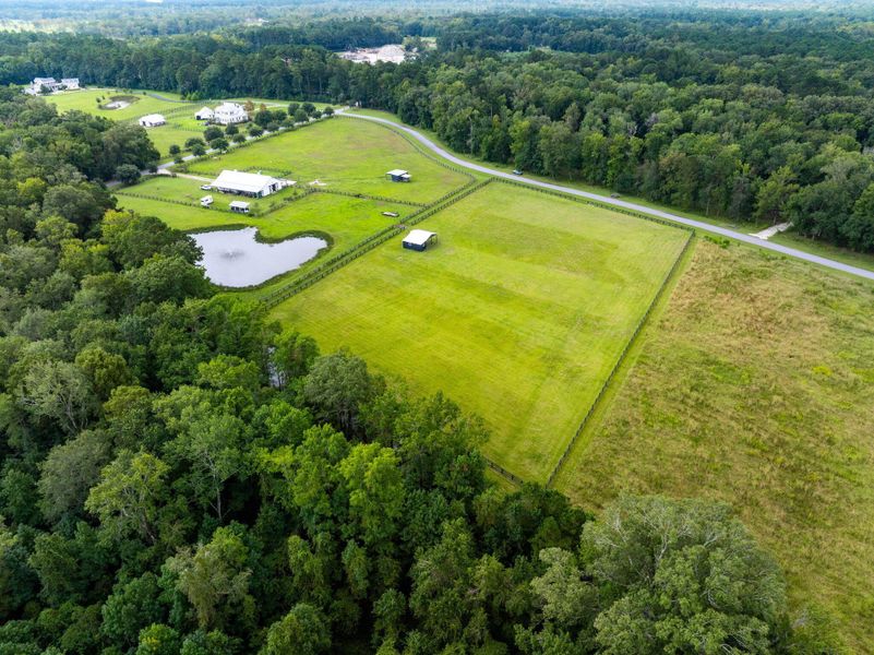 Natural landscape and outdoor views near  in Ravenel (Image 44).