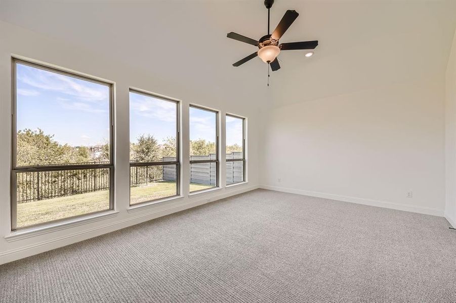 Spare room with ceiling fan, plenty of natural light, and carpet floors