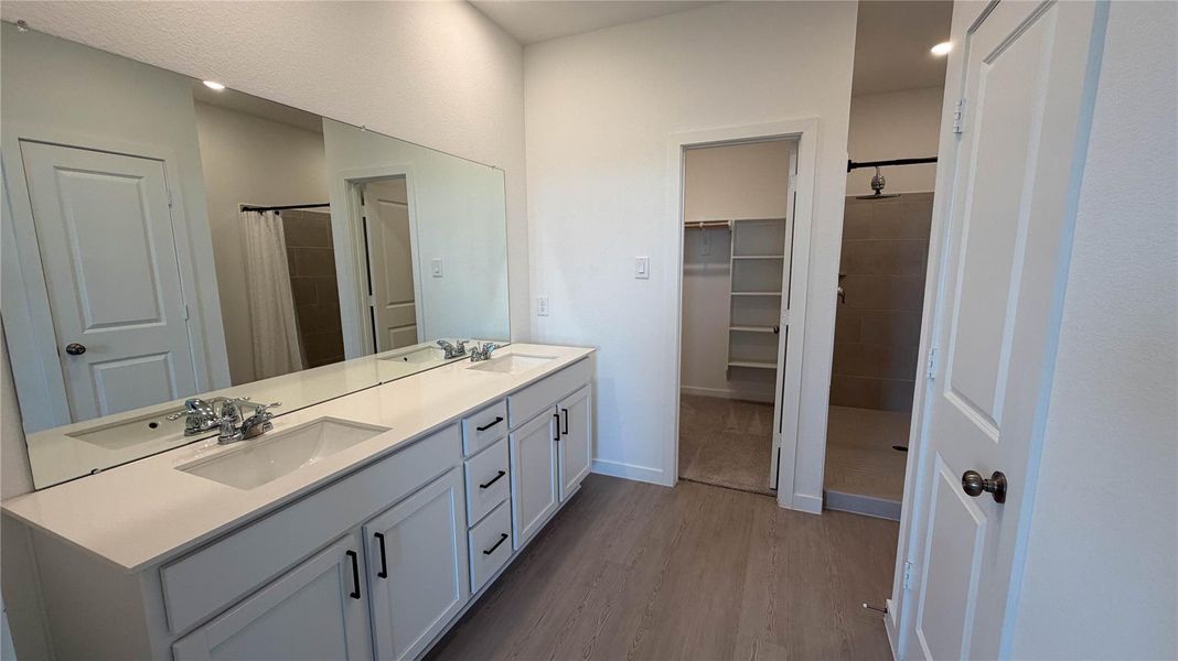 Master Bedroom - bathroom and closet