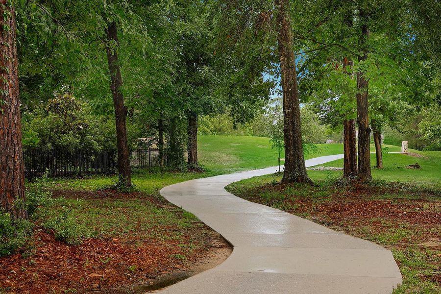Natural landscape and outdoor views near  in Conroe (Image 30).