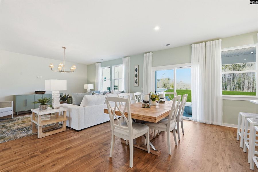 Furnished interior view inside a new home in Boykin Hills, Chapin (Image 12).