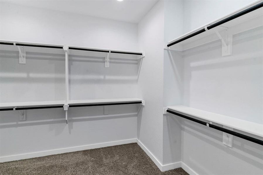 Spacious closet featuring dark colored carpet