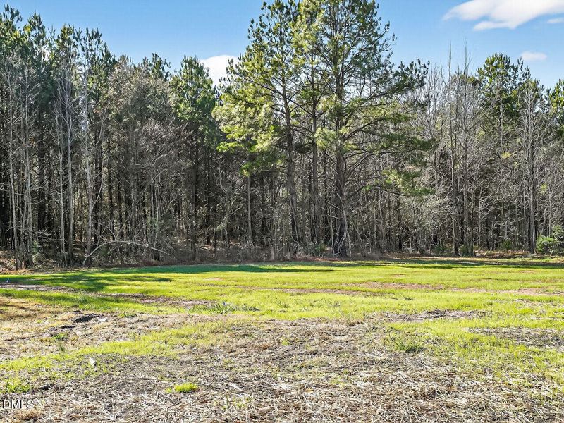 027-1280x960-back-yard