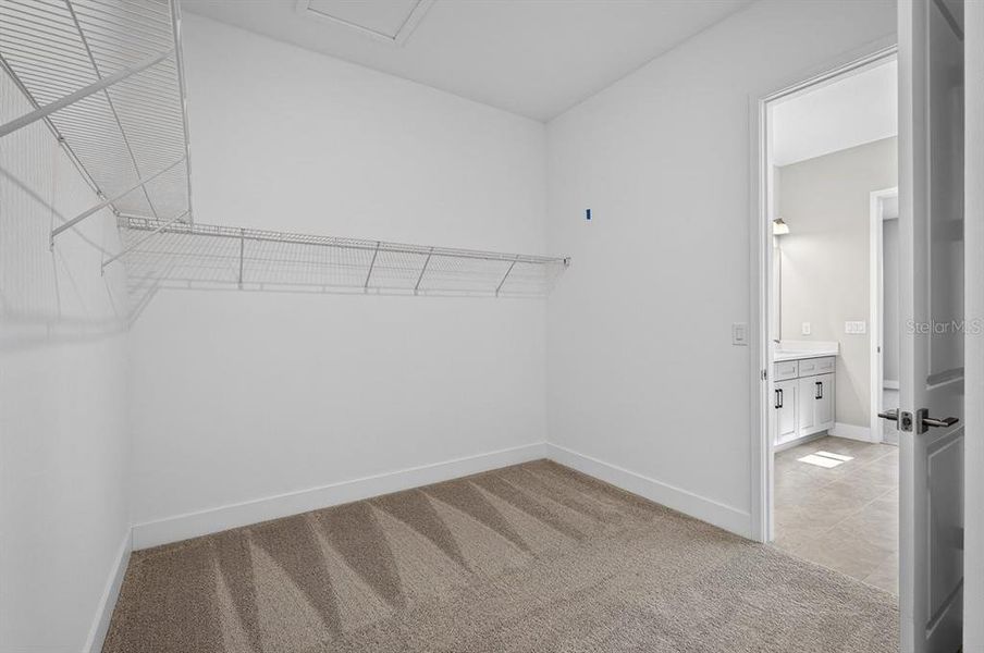 Spacious, unfurnished interior of a new home in Gray Hawk at Hole Two, Daytona Beach (Image 50).