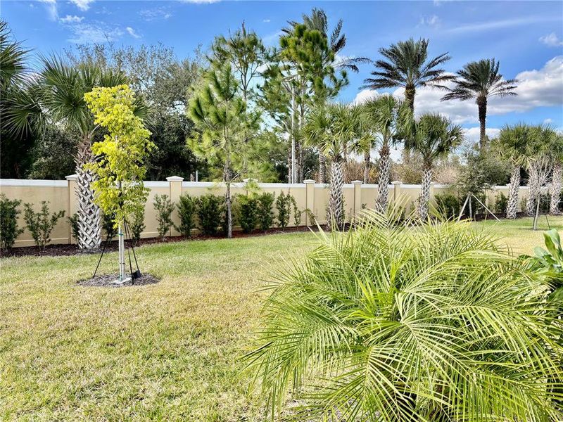 Natural landscape and outdoor views near  in Venice (Image 17).