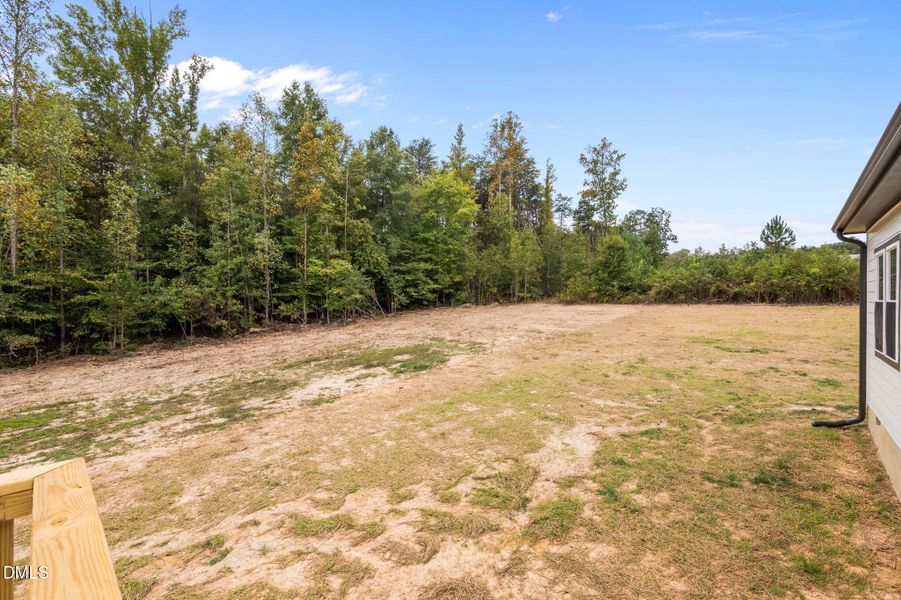 49-web-or-mls-P1084681 49-web-or-mls-P1084681