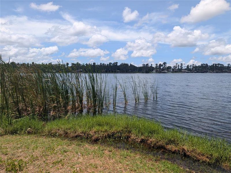 Natural landscape and outdoor views near in Odessa (Image 19). Natural landscape and outdoor views near in Odessa (Image 19).