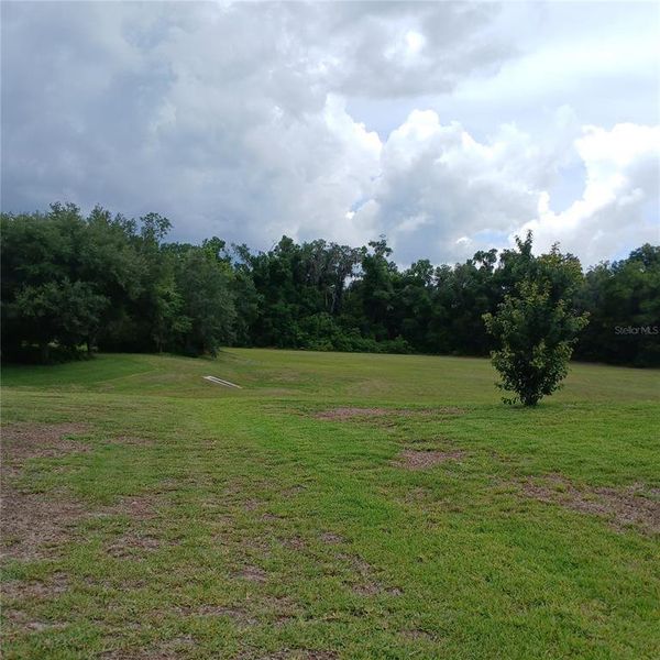 Natural landscape and outdoor views near Grand Park North in Dunnellon (Image 55). Natural landscape and outdoor views near Grand Park North in Dunnellon (Image 55).