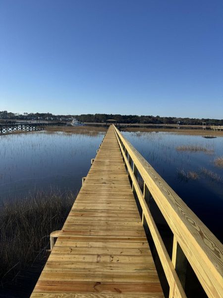 Natural landscape and outdoor views near  in Awendaw (Image 36).